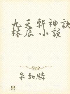 九天斩神诀小说林辰 小说