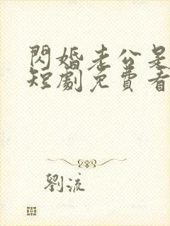 闪婚老公是大佬短剧免费看封面