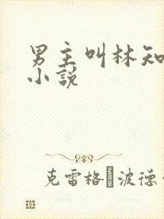男主叫林知珩的小说