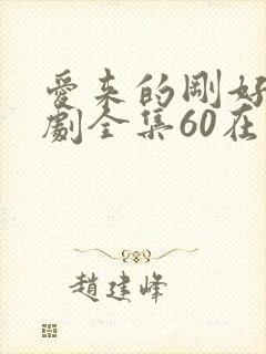 爱来的刚好电视剧全集60在线观看