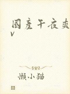 国产午夜爽爽av