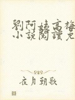 刘阿姨高梅张刚小说阅读免费无弹窗