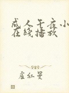 成人午夜小视频在线播放封面