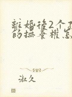 离婚后2个孩子的抚养权怎么判定呢封面