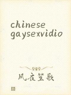 chinesegaysexvidio