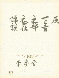 锦衣之下原著小说在哪看