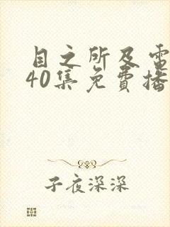 目之所及电视剧40集免费播放