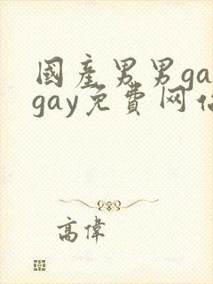国产男男gaygay免费网站