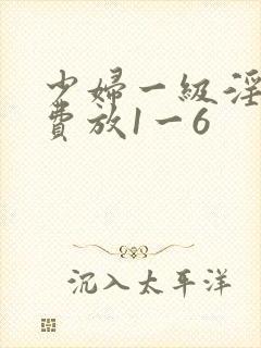 少妇一级淫片免费放1一6