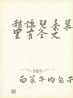 赵锦儿秦慕修哪里有全文封面