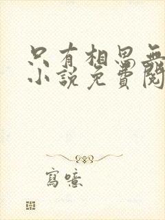 只有相思无尽处小说免费阅读封面