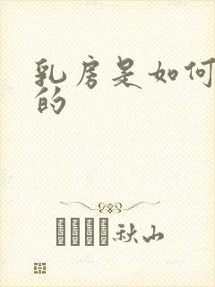 乳房是如何产奶的