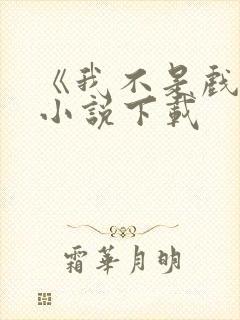 《我不是戏神》小说下载