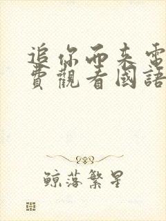 追你而来电影免费观看国语版