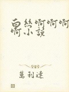 白丝啊啊啊不要啊小说封面