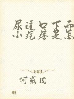 尿道口下面有个小疙瘩是怎么回事