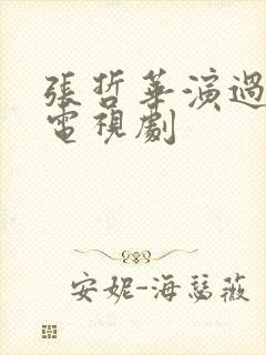 张哲华演过哪些电视剧