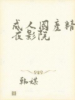 成人国产精品午夜影院封面