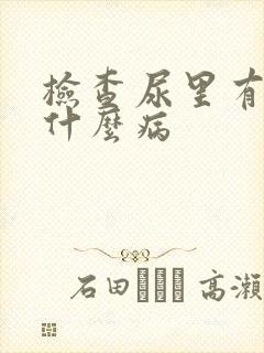 检查尿里有血是什么病