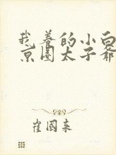 我养的小白脸是京圈太子爷