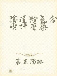 阴道粉色分泌物吃什么药