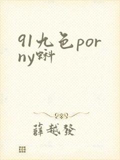 91九色porny蚪封面