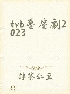 tvb台庆剧2023