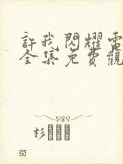 许我闪耀电视剧全集免费观看高清