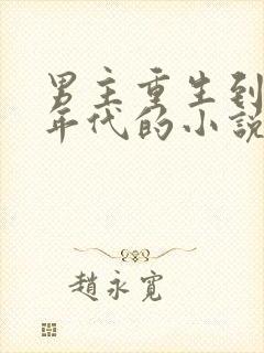 男主重生到粮票年代的小说