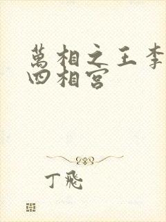 万相之王李洛第四相宫