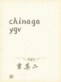 chinagaygv封面