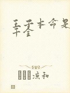 王子本命是恶奴千金封面