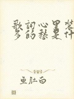歌词心里装着许多的愁是什么歌