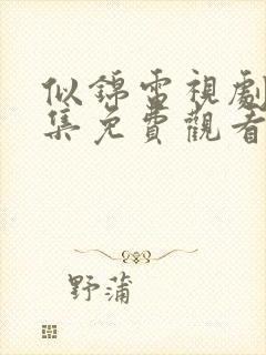 似锦电视剧40集免费观看完整版高清