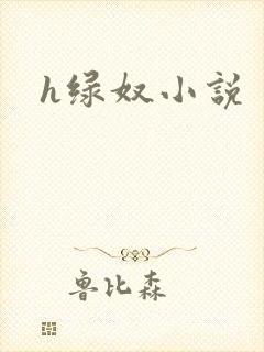 h绿奴小说