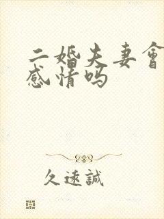 二婚夫妻会有真感情吗