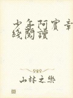 少年阿宾章节在线阅读