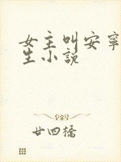 女主叫安宁的重生小说封面