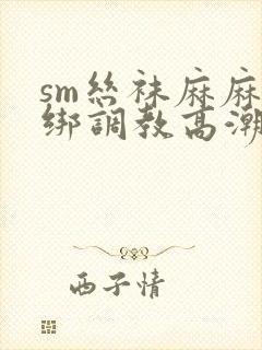 sm丝袜麻麻捆绑调教高潮封面