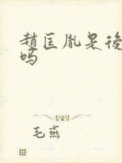 赵匡胤是后晋的吗