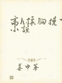 高h揉胸摸下的小说