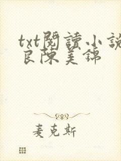 txt阅读小说良陈美锦
