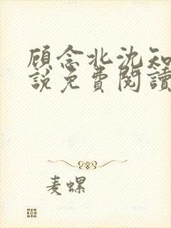 顾念北沈知宁小说免费阅读最新章节封面