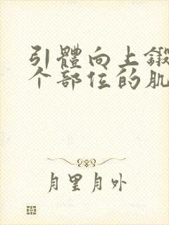 引体向上锻炼哪个部位的肌肉封面