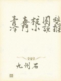 青春校园双男主冷门小说推荐