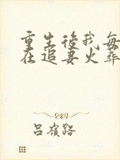 重生后我每天都在追妻火葬场