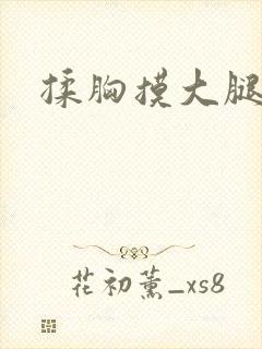 揉胸摸大腿小说