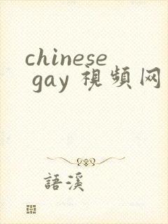 chinese gay 视频网站