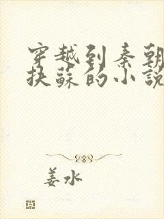 穿越到秦朝忽悠扶苏的小说