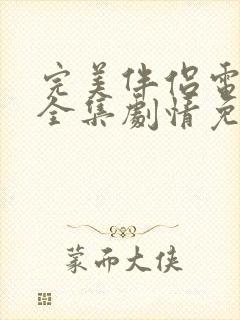 完美伴侣电视剧全集剧情免费观看